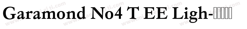 Garamond No4 T EE Ligh字体转换